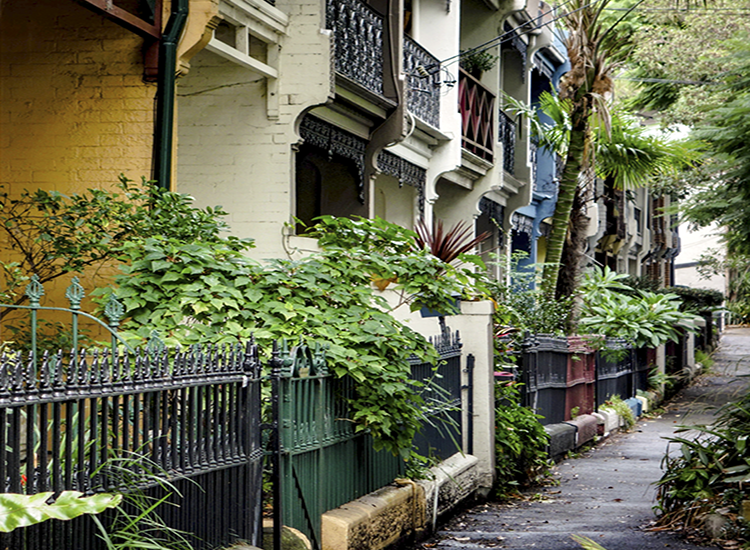 photo of wow off terrace homes in inner Sydney suburb